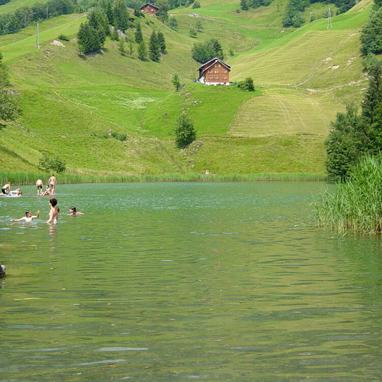 Baden im Seewaldsee
